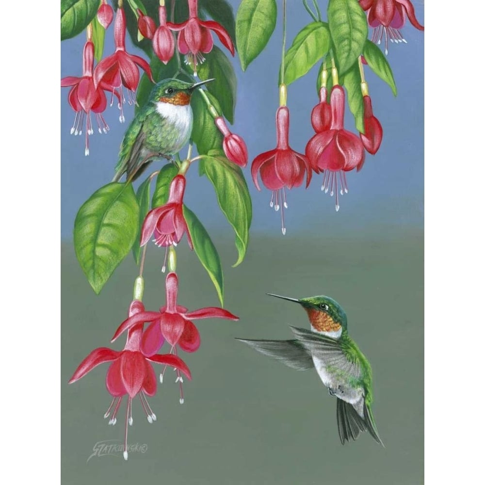 Hummers and Fuchsia Poster Print - Fred Szatkowski-VARPDX96754D Image 1