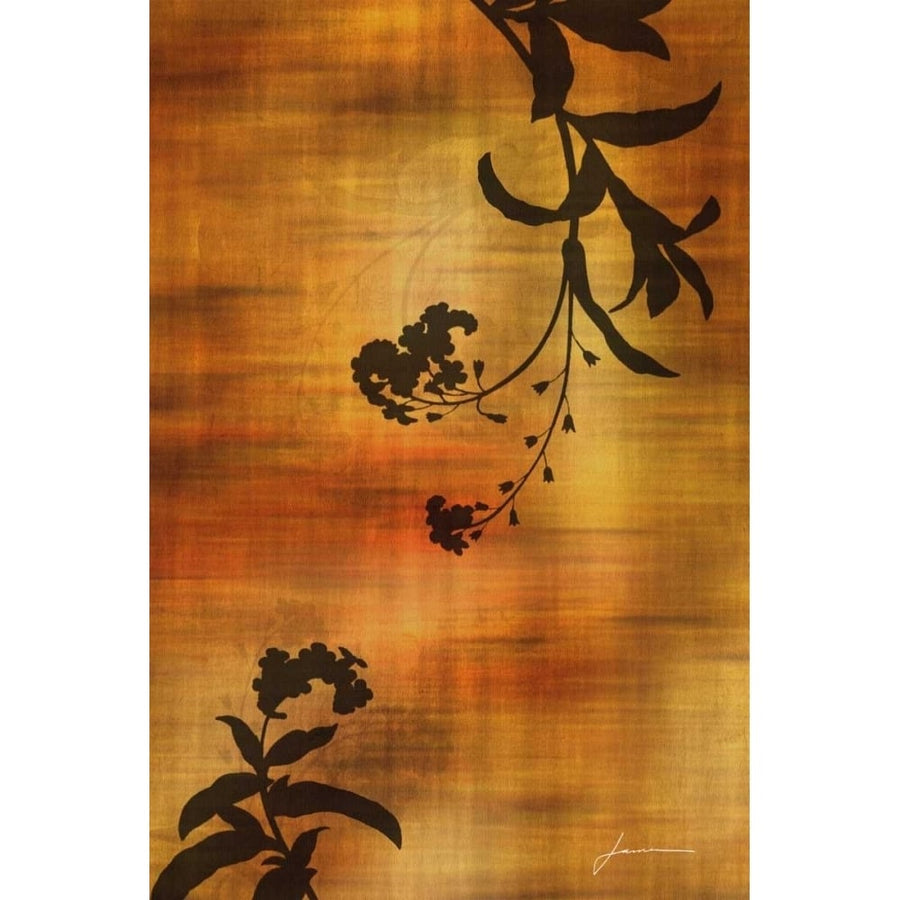 Sepia Floral I Poster Print - James Burghardt-VARPDX96840D Image 1