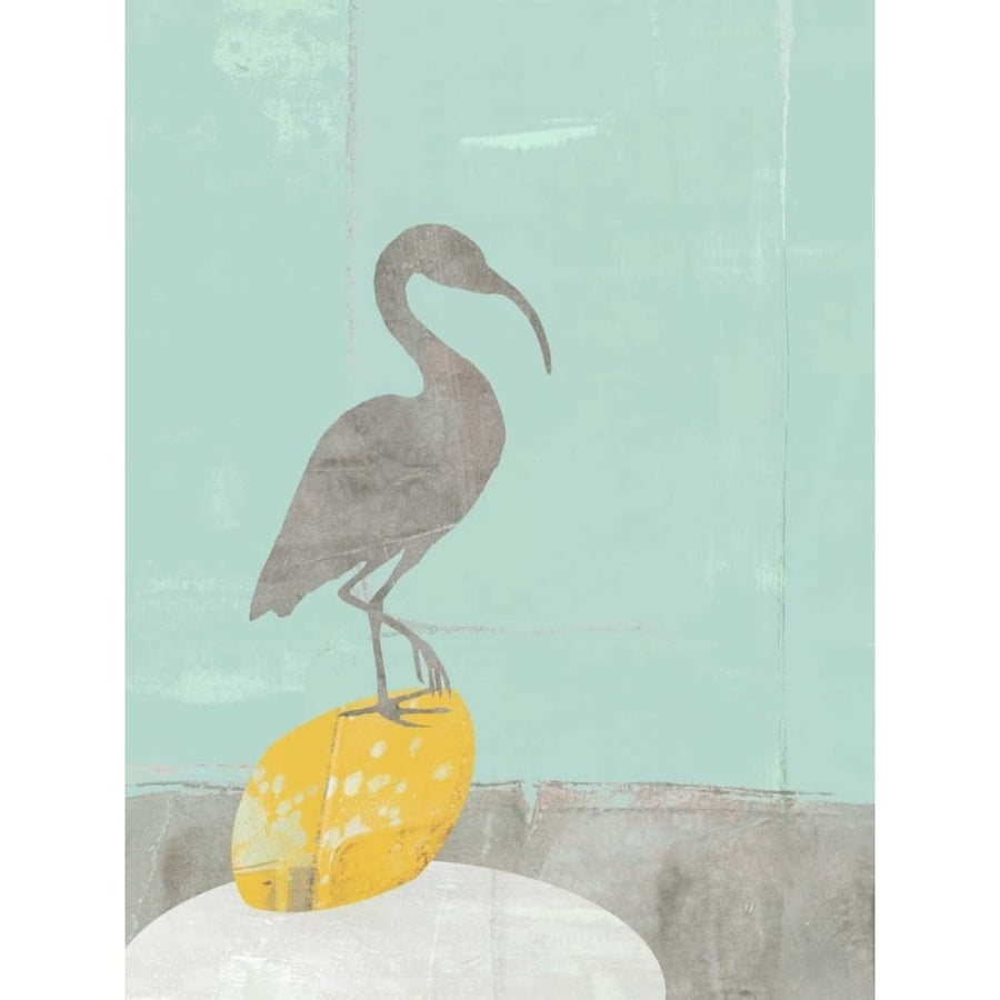 Heron Collage II Poster Print - Jennifer Goldberger-VARPDX97056D Image 1