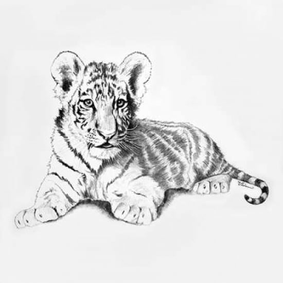 Tiger Poster Print by Vivien Rhyan-VARPDX9717A Image 2