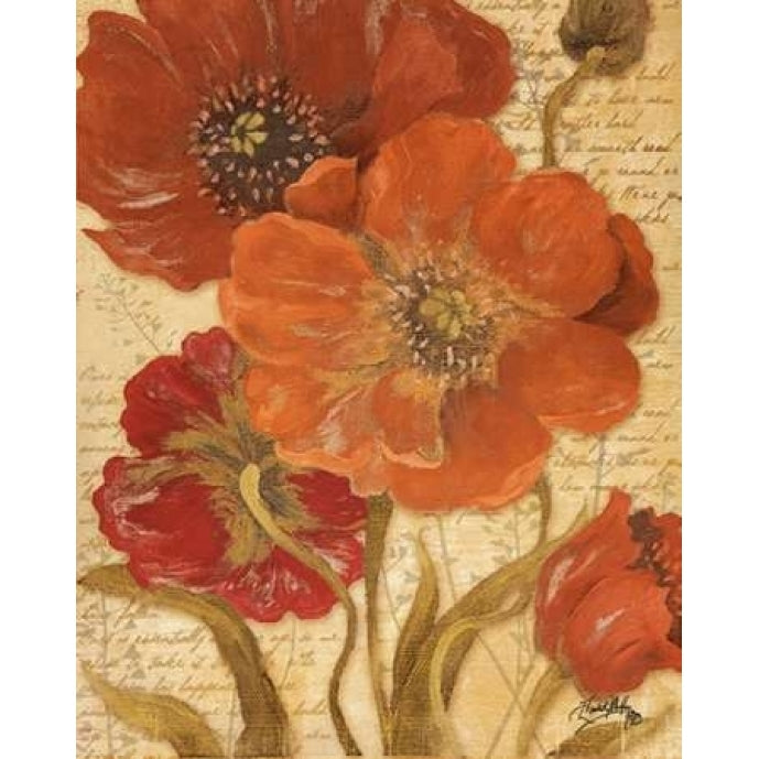 Red Scripted Beauty I Poster Print by Elizabeth Medley-VARPDX9785H Image 1