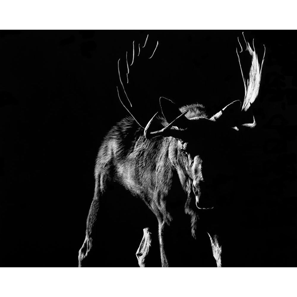 Bullish Poster Print - Julie Chapman-VARPDX98010GG Image 1