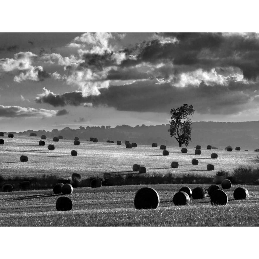 Rolls of Hay Poster Print - Martin Henson-VARPDX98044Z Image 1