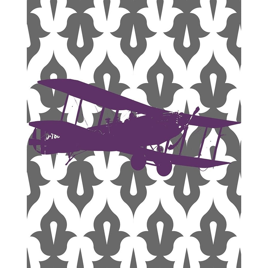 Flight Patterns I Poster Print by Michael Marcon-VARPDX9807 Image 1