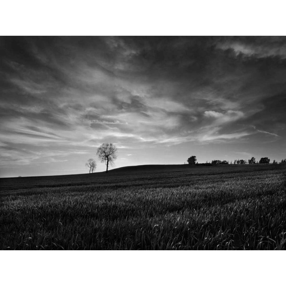 Black and White Sunset Poster Print - Martin Henson-VARPDX98051Z Image 1