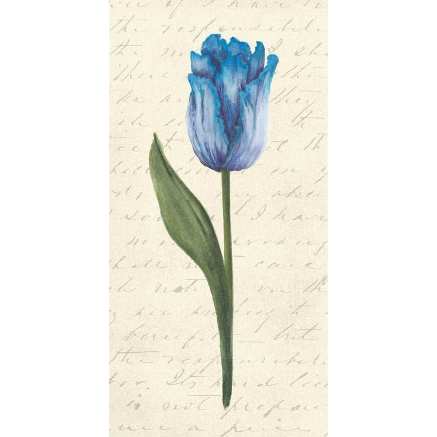 Twin Tulips III Poster Print - Grace Popp-VARPDX98097Z Image 1