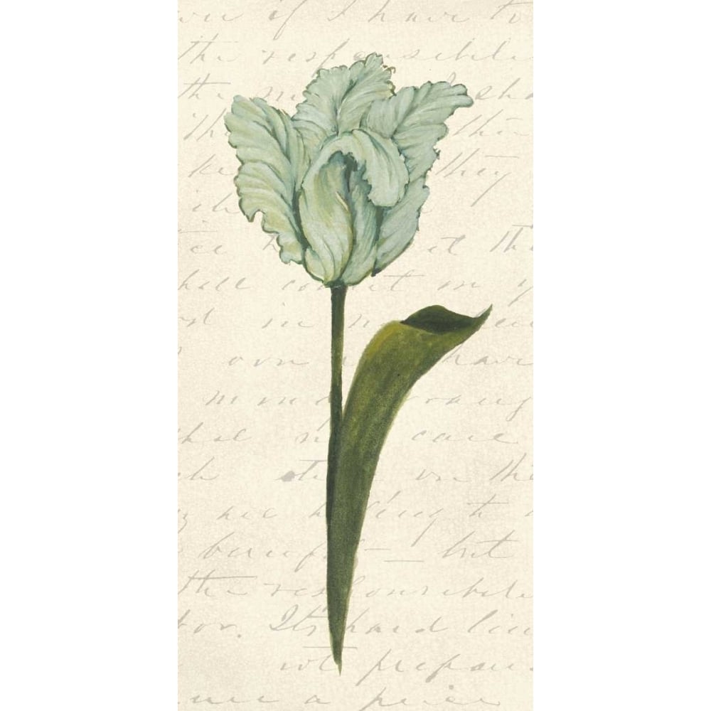 Twin Tulips V Poster Print - Grace Popp-VARPDX98099Z Image 1