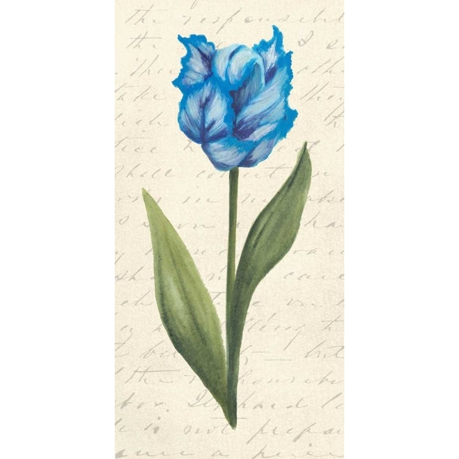 Twin Tulips IV Poster Print - Grace Popp-VARPDX98098Z Image 1