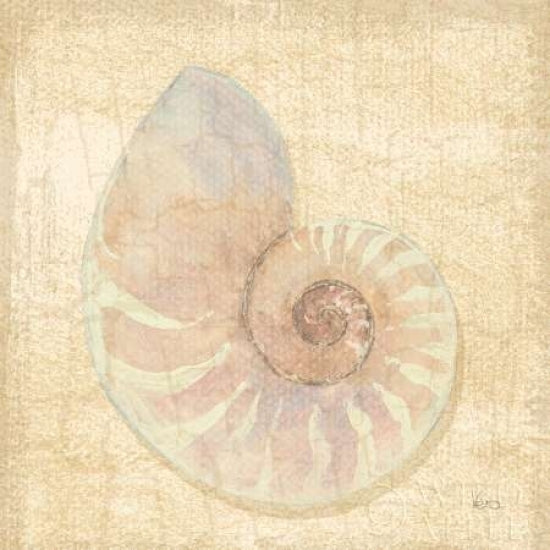 Tropical Island Shell I Poster Print by Veronique Charron-VARPDX9813 Image 1