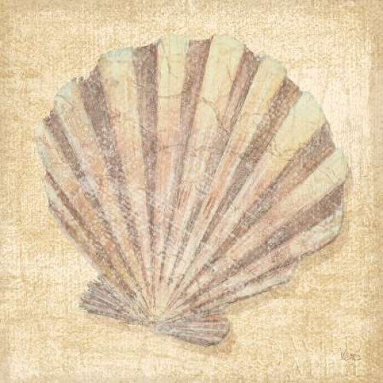 Tropical Island Shell II Poster Print by Veronique Charron-VARPDX9814 Image 1