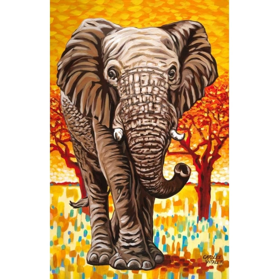 Wild Africa I Poster Print - Carolee Vitaletti-VARPDX98202GG Image 1