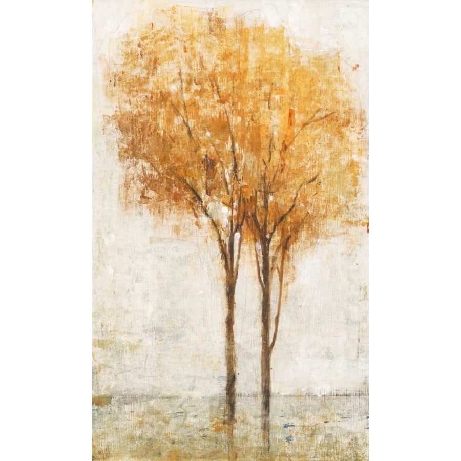 Falling Leaves II Poster Print - Tim OToole-VARPDX98297GG Image 1