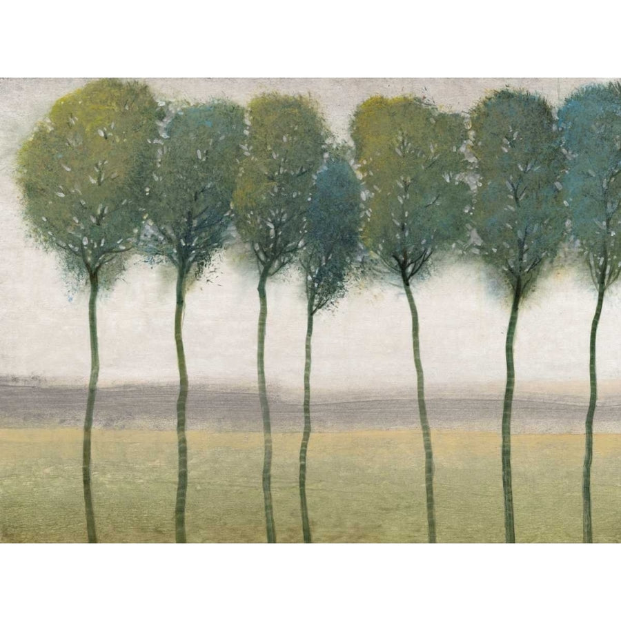 Row of Trees I Poster Print - Tim OToole-VARPDX98433GG Image 1