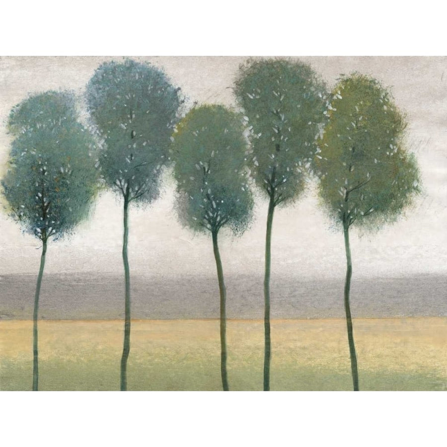 Row of Trees II Poster Print - Tim OToole-VARPDX98434GG Image 1