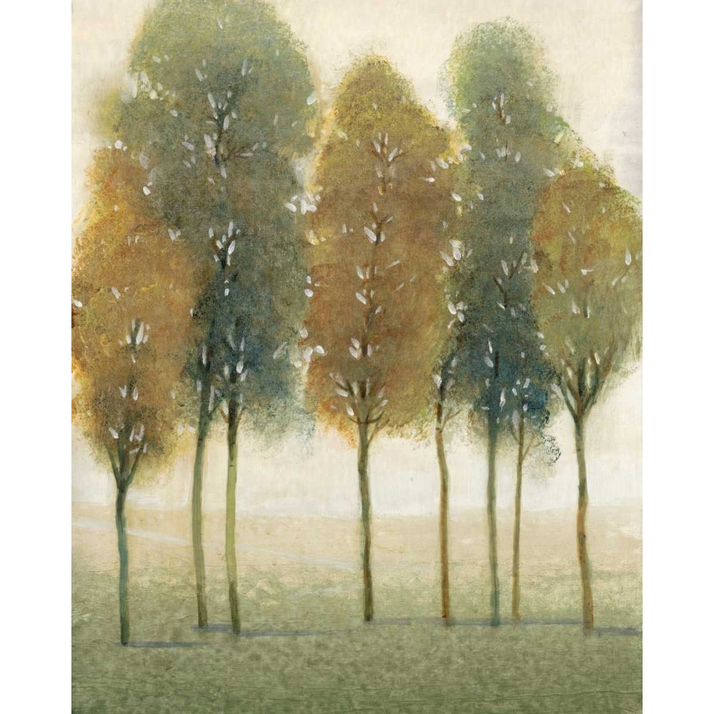 Beyond the Trees II Poster Print - Tim OToole-VARPDX98432GG Image 1