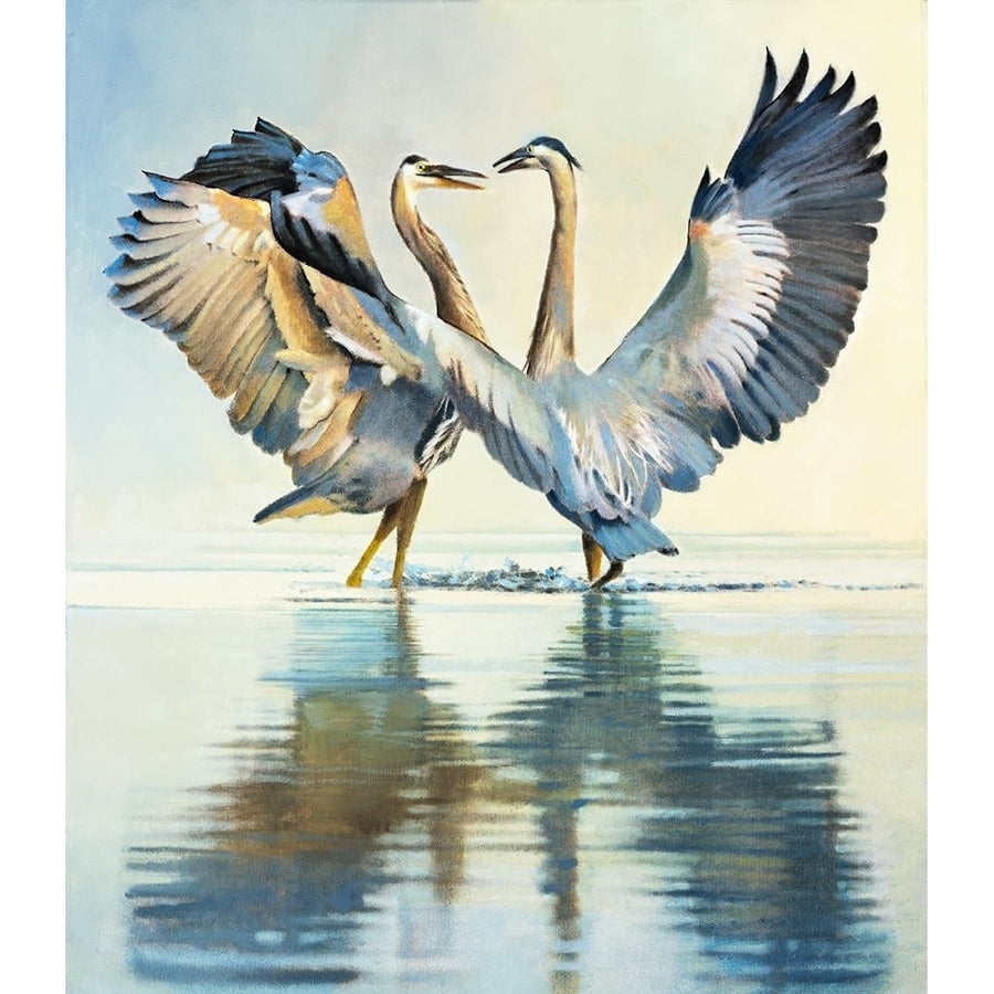 Great Blue Herons Poster Print - Max Hayslette-VARPDX98440 Image 1