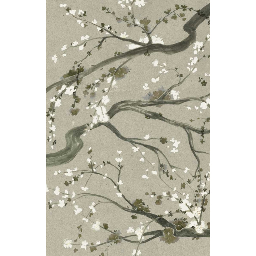 Neutral Cherry Blossoms II Poster Print - Grace Popp-VARPDX98579Z Image 1