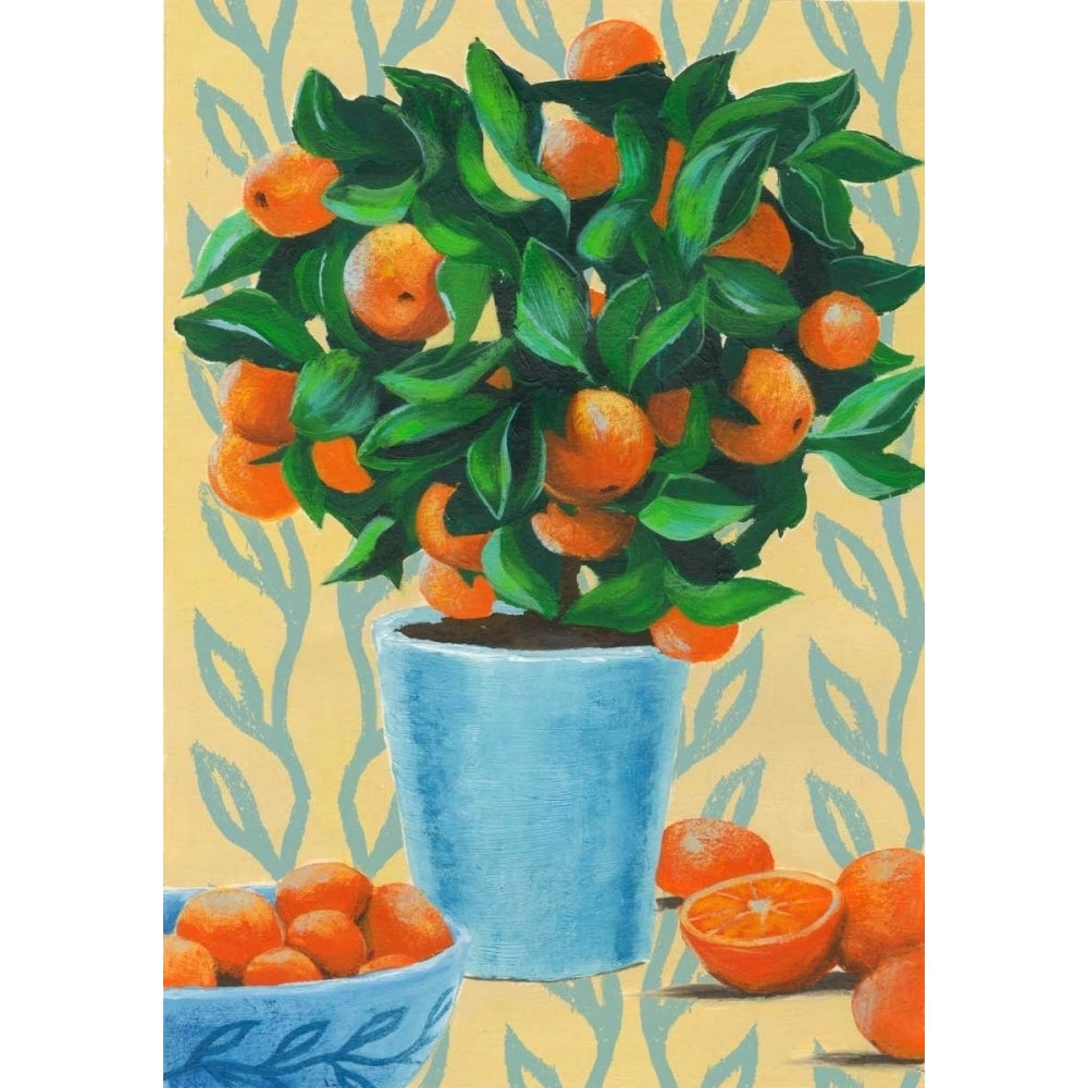 Opulent Citrus II Poster Print - Grace Popp-VARPDX98583GG Image 1