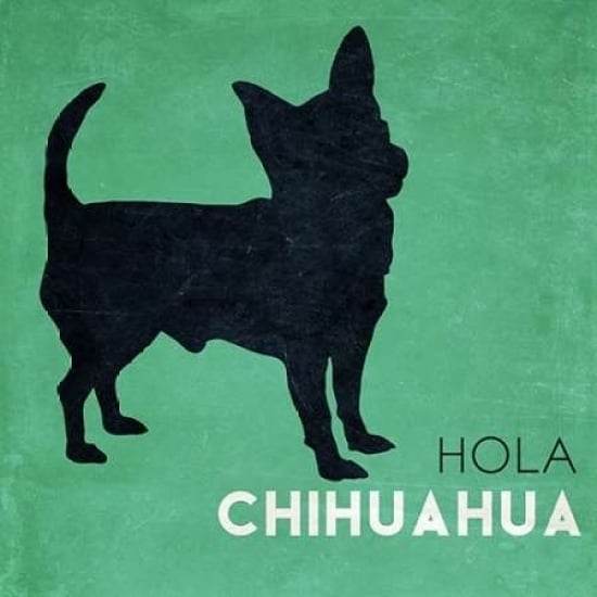 Hola Chihuahua Poster Print by Sd Graphics Studio-VARPDX9861HH Image 2