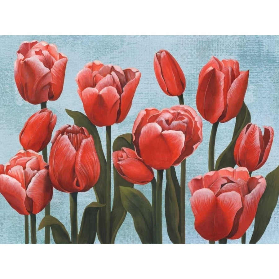 Ruby Tulips II Poster Print - Grace Popp-VARPDX98624GG Image 1