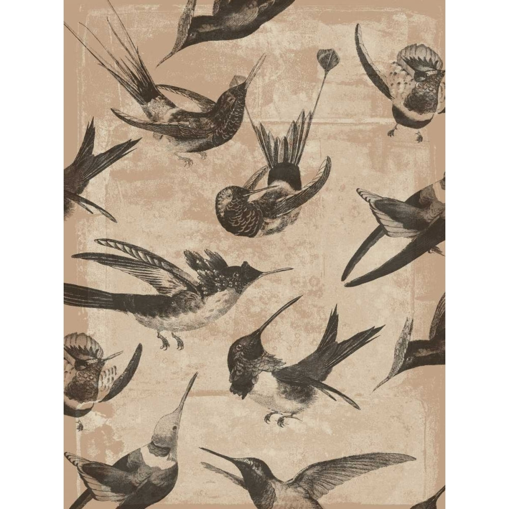 Bird Pattern II Poster Print - Jennifer Goldberger-VARPDX98746GG Image 1