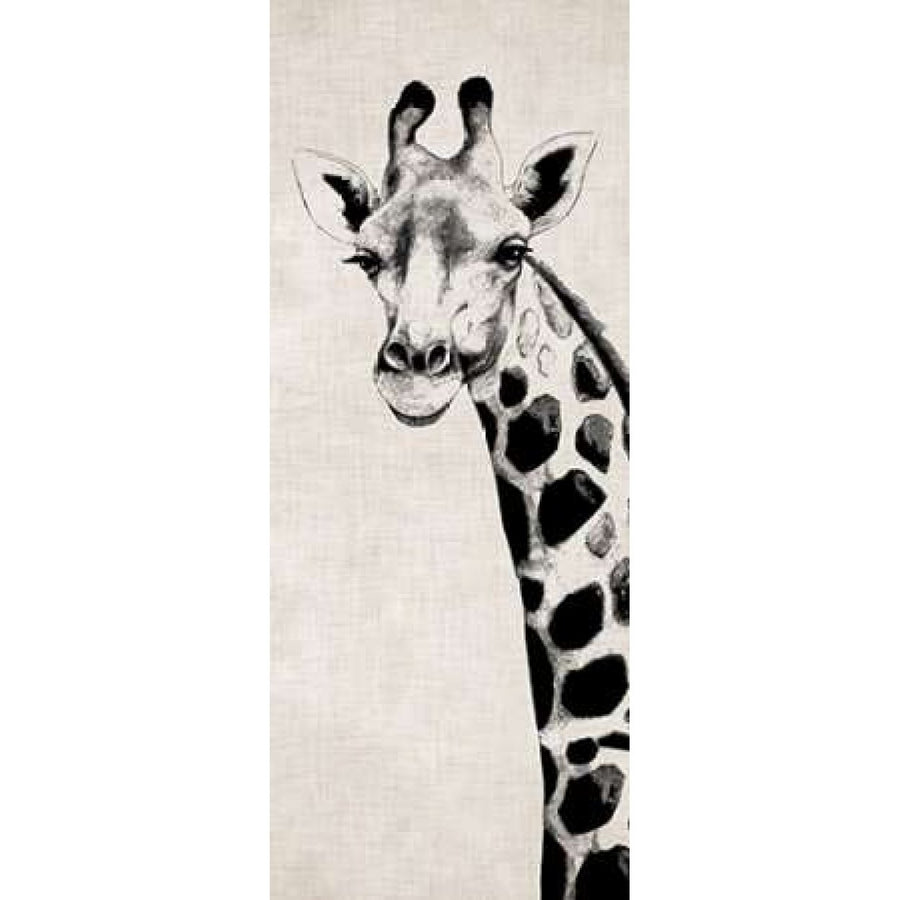 Giraffe II Poster Print by Vivien Rhyan-VARPDX9876 Image 1