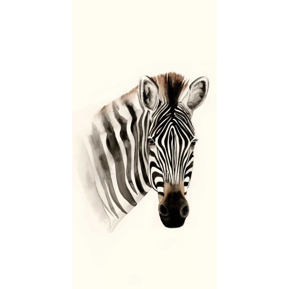 Safari Portrait II Poster Print - Grace Popp-VARPDX98813Z Image 1