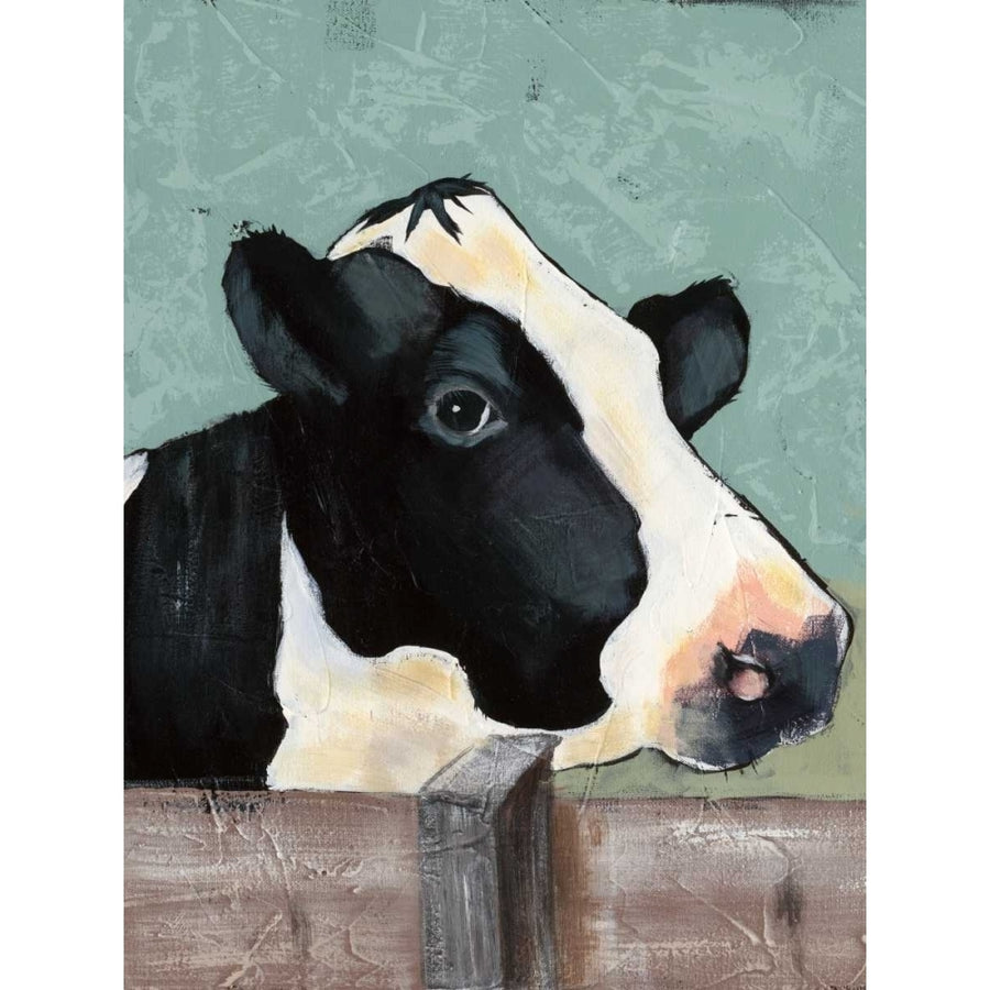 Holstein Cow I Poster Print - Jade Reynolds-VARPDX98809GG Image 1