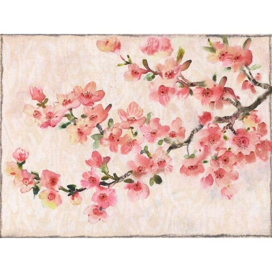 Cherry Blossom Composition I Poster Print - Tim OToole-VARPDX98825GG Image 1