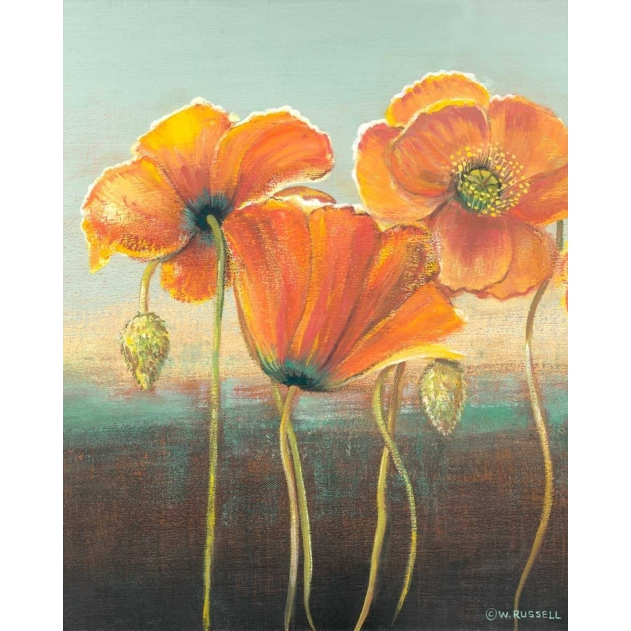 Poppy Tops I Poster Print - Wendy Russell-VARPDX98845GG Image 1