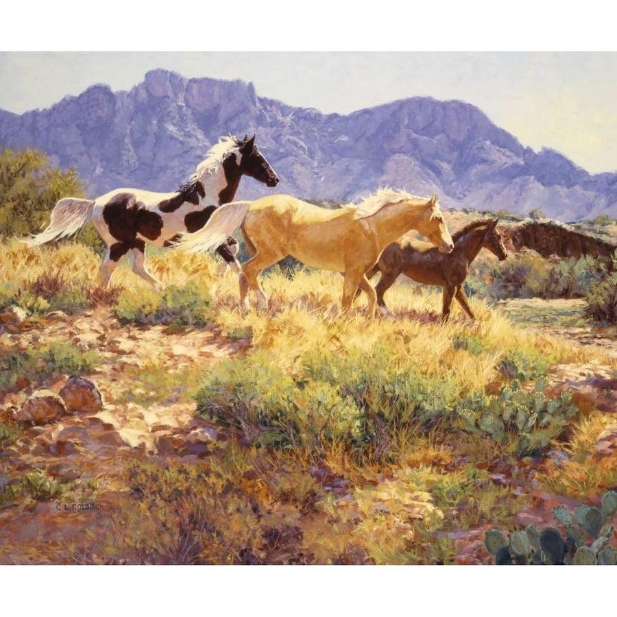 Horses at Big Wash Poster Print - Claire Goldrick-VARPDX99182GG Image 1