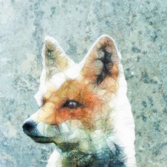 Abstract Fox Poster Print by Ancello-VARPDXA357D Image 1