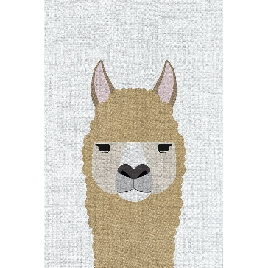 Alpaca Poster Print by Annie Bailey Art-VARPDXA513D Image 1