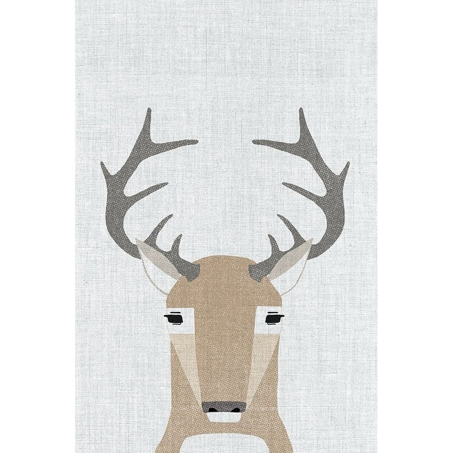 Whitetail Deer Poster Print by Annie Bailey Art-VARPDXA524D Image 1