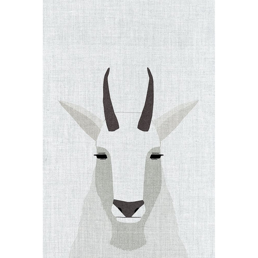 Mountain Goat Poster Print by Annie Bailey Art-VARPDXA522D Image 1