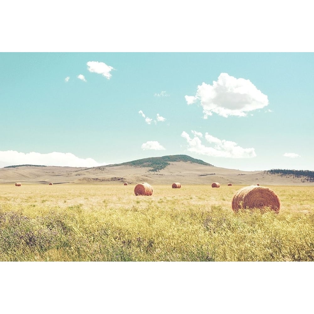 A Day in the Fields Poster Print by Annie Bailey Art Annie Bailey Art-VARPDXA589D Image 1