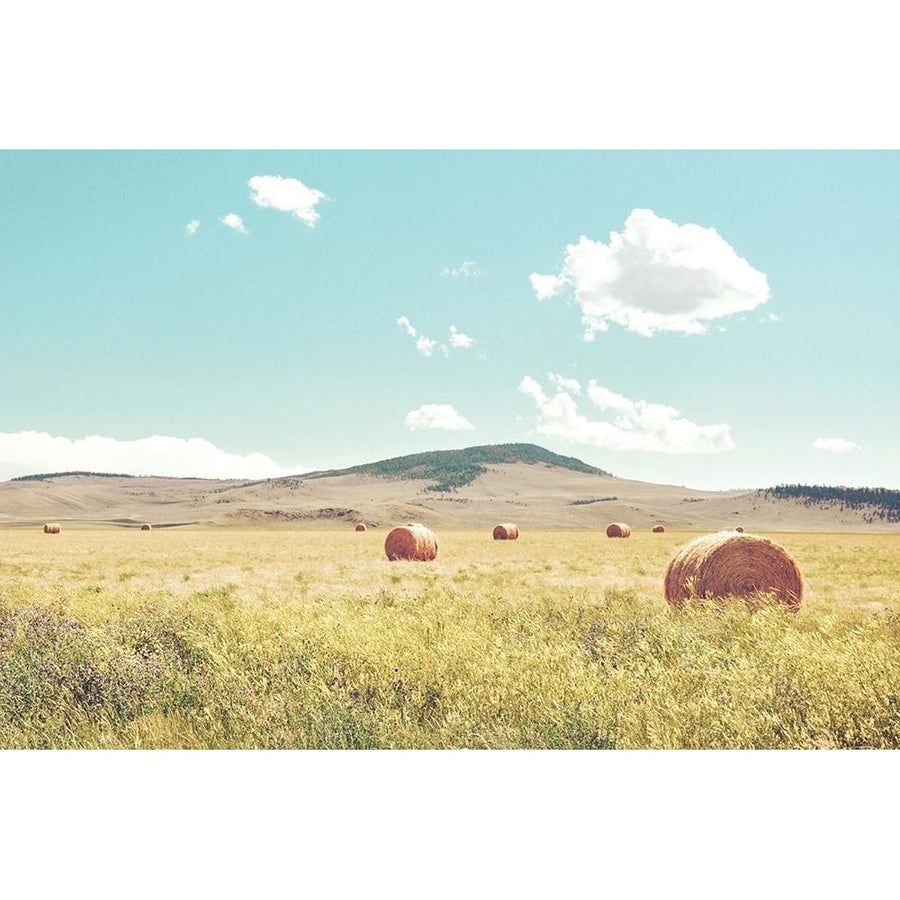 A Day in the Fields Poster Print by Annie Bailey Art Annie Bailey Art-VARPDXA589D Image 1