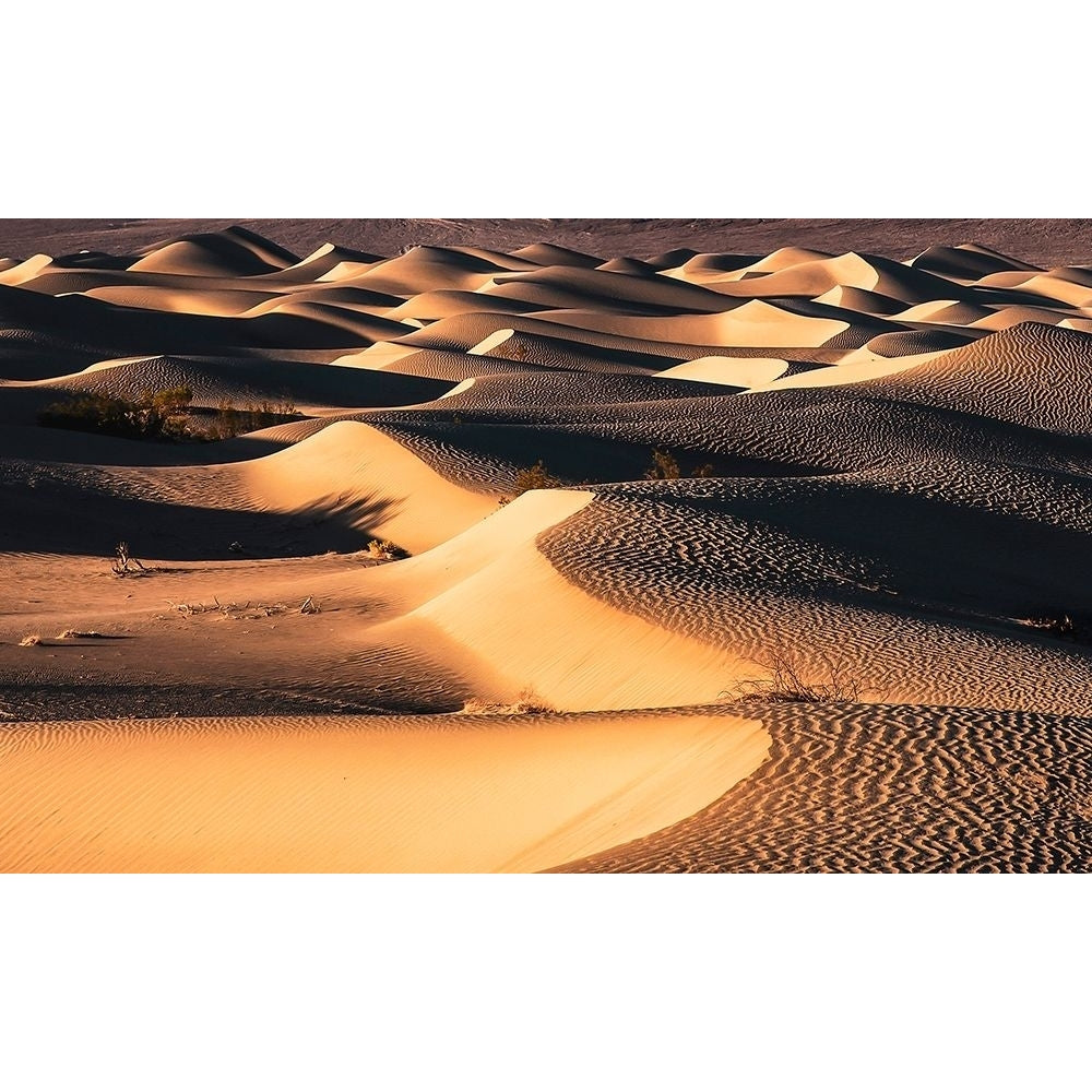 Death Valley Poster Print by Dora Artemiadi-VARPDXA637D Image 1