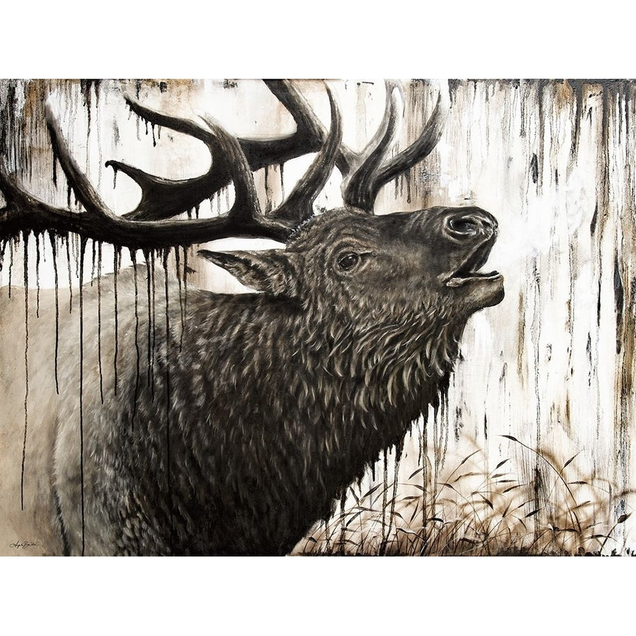 Bugling Bull Elk by Angela Bawden-VARPDXAB129 Image 1