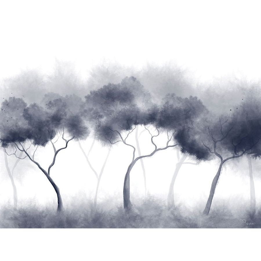 Misty Blue Forest Trees Poster Print - Angela Bawden-VARPDXAB250 Image 1