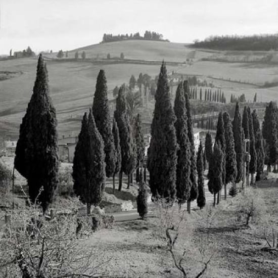 Tuscany - 4 Poster Print by Alan Blaustein-VARPDXABIT910 Image 1