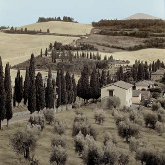 Tuscany - 15 Poster Print by Alan Blaustein-VARPDXABITC2887 Image 1