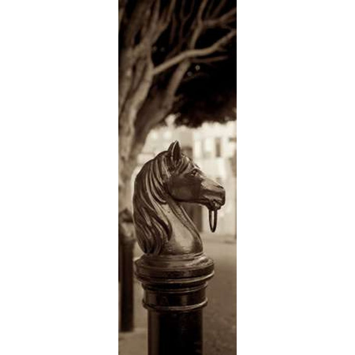 Hitching Post Pano - 2 Poster Print by Alan Blaustein-VARPDXABSFV32 Image 2