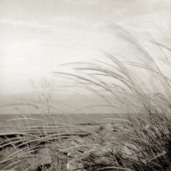 Tuscan Coast Dunes - 1 Poster Print by Alan Blaustein-VARPDXABSH136 Image 1