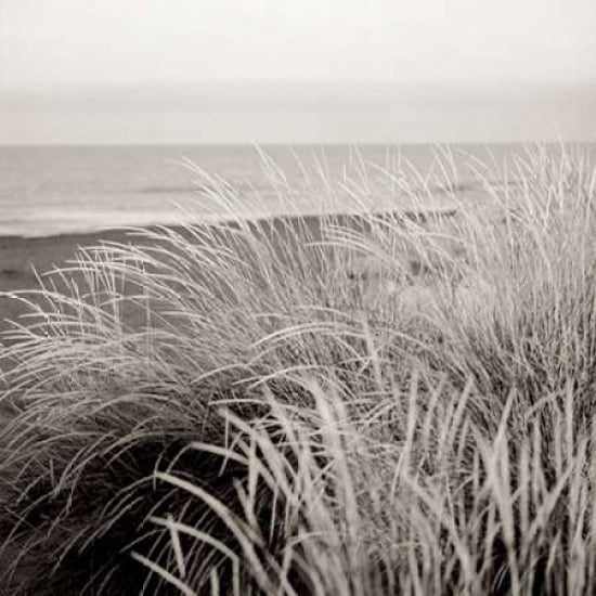 Tuscan Coast Dunes - 2 Poster Print by Alan Blaustein-VARPDXABSH136A Image 1