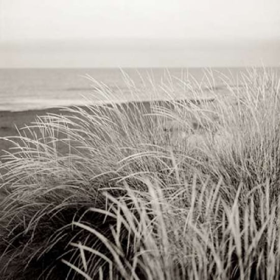 Tuscan Coast Dunes - 2 Poster Print by Alan Blaustein-VARPDXABSH136A Image 2