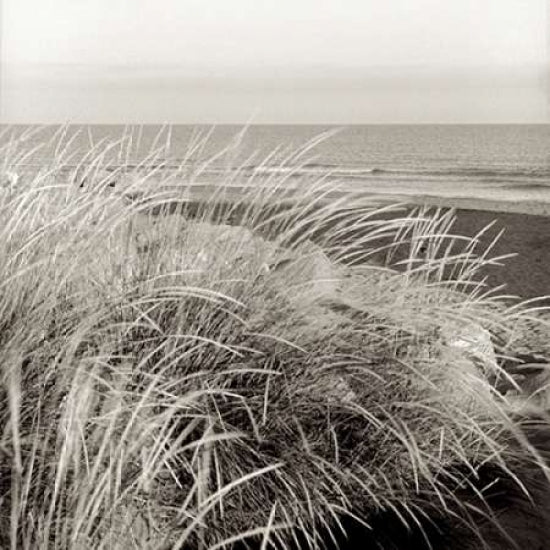 Tuscan Coast Dunes - 3 Poster Print by Alan Blaustein-VARPDXABSH137 Image 1