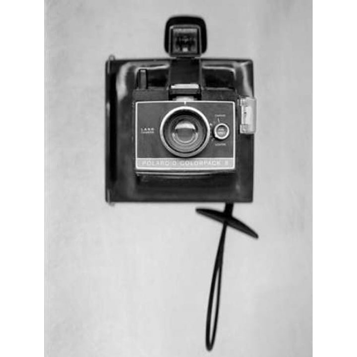 Retro Point and Shoot - 5 Poster Print by Alan Blaustein-VARPDXABSL99 Image 2