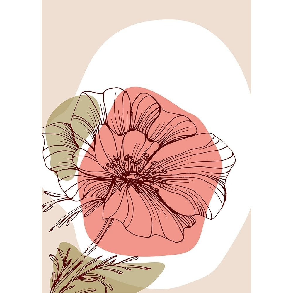 Poppy 13 Poster Print - AcantStudio-VARPDXACANT563 Image 1