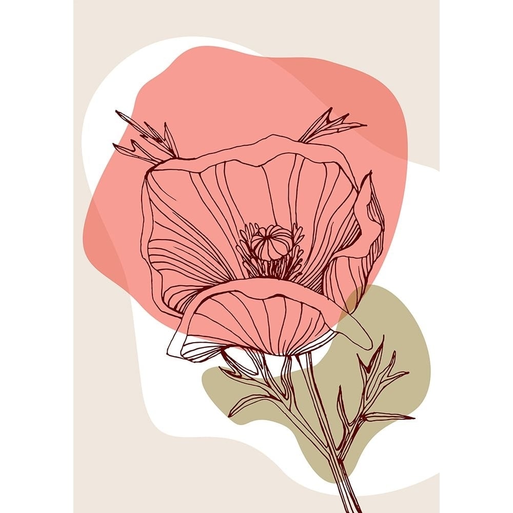 Poppy ?blossom Poster Print - AcantStudio-VARPDXACANT569 Image 1